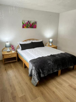 Appartment Zlatan